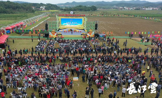 9月21日,咸寧市咸安區(qū)高橋蘿卜小鎮(zhèn)百畝草地上舉行了“慶豐收·迎小康”第三屆中國農(nóng)民豐收節(jié)湖北分會(huì)場咸寧主會(huì)場慶祝活動(dòng),全市各界農(nóng)民代表相聚白水畈的美麗田野,分享豐收的喜悅,慶祝屬于自己的節(jié)日。 開幕式上舉行了精彩的文藝演出,演出在舞蹈《慶豐收》中拉開序幕,歌舞《錦繡小康》呈現(xiàn)出咸寧各地欣欣向榮、脫貧致富奔小康的幸福場景。網(wǎng)紅歌曲《你莫走》、舞蹈《慶豐收》、歌舞《一起幸?!罚粋€(gè)個(gè)精彩的節(jié)目輪番上演,博得現(xiàn)場觀眾陣陣掌聲。 開幕活動(dòng)現(xiàn)場還舉行了頒獎(jiǎng)儀式,第二屆“美麗中國、鄉(xiāng)村振興”全國農(nóng)民詩歌邀請賽獲獎(jiǎng)組織和個(gè)人,全市農(nóng)村人居環(huán)境整治示范村,省級農(nóng)業(yè)產(chǎn)業(yè)化工作先進(jìn)集體和先進(jìn)個(gè)人上臺領(lǐng)獎(jiǎng)。現(xiàn)場還舉行了鄂南民俗展演、農(nóng)民趣味運(yùn)動(dòng)會(huì)、扶貧農(nóng)產(chǎn)品以及咸寧特色農(nóng)產(chǎn)品展銷等豐富多彩的活動(dòng)?;鸨娜藲?,讓在場的展銷商賺得是盆滿缽滿。 咸寧市咸安區(qū)鑫達(dá)種養(yǎng)專業(yè)合作社理事長萬永輝:今年家里的香菇都豐收了,一上午我就賣出了一萬多元,我們合作社采取的是“合作社+農(nóng)戶”的模式,也帶領(lǐng)了20多戶貧困戶脫貧了。 咸寧市致遠(yuǎn)種植專業(yè)合作社理事長 吳海兵:我們今年是真真正正地豐收了,我們生姜的價(jià)格足足翻了三倍,跟著我們一起的貧困戶也平均增收了3000元左右。 而這一系列的活動(dòng),都是在蘿卜小鎮(zhèn)的草地上進(jìn)行的,草地作舞臺、草地搞展示、草地上比賽等等,這數(shù)百畝草地,此時(shí)此刻成為了咸寧農(nóng)民們慶祝豐收的歡樂場。 咸寧市咸安區(qū)高橋鎮(zhèn)黨委書記王順榮:今年的湖北分會(huì)場在我們高橋蘿卜小鎮(zhèn)舉辦,我感到很榮幸,我們從一顆蘿卜做起,以白水畈蘿卜為核心品牌,打造白水畈"我家菜園"蔬菜基地及旅游觀光體驗(yàn)中心,發(fā)展綠色農(nóng)業(yè)、生態(tài)旅游,增加產(chǎn)業(yè)開發(fā)的綜合效益,創(chuàng)建蘿卜特色小鎮(zhèn),走出了一條農(nóng)業(yè)、旅游相結(jié)合的新路,推動(dòng)高橋鎮(zhèn)一二三產(chǎn)業(yè)融合發(fā)展。 鄉(xiāng)親們說,這在以前是想都不敢想的,高橋鎮(zhèn)蝸居山里,太偏遠(yuǎn)又沒有資源優(yōu)勢,想發(fā)展太難。而現(xiàn)在這一切的悄然改變,得益于2017年10月13日,咸安區(qū)政府與鄂旅投公司正式簽署的《131軍旅小鎮(zhèn)+白水畈田園綜合體旅游開發(fā)投資合作協(xié)議》,鄂旅投公司將投資30億元,在高橋鎮(zhèn)打造131軍旅小鎮(zhèn)和白水畈田園綜合體旅游開發(fā)項(xiàng)目。項(xiàng)目共分為131軍旅小鎮(zhèn)、白水畈美麗鄉(xiāng)村、特色農(nóng)業(yè)示范、旅游綜合體四大板塊,打造旅游綜合服務(wù)區(qū)、澄水洞軍事展示區(qū)、青少年國防教育基地、鐵血軍事樂園區(qū)、戰(zhàn)狼訓(xùn)練基地、美麗村灣民俗區(qū)、四季瓜果示范區(qū)、農(nóng)耕文化展示區(qū)、特色商業(yè)街區(qū)和康養(yǎng)度假區(qū)十大功能區(qū)。 咸寧市咸安區(qū)高橋鎮(zhèn)黨委書記王順榮:我們引進(jìn)鄂旅投,打造蘿卜小鎮(zhèn),目前建設(shè)有蘿卜小鎮(zhèn)科普館、蘿卜鄉(xiāng)學(xué)院、蘿卜酒店等休閑旅游項(xiàng)目,十一馬上到了,也歡迎廣大游客前來游玩。 今年是決勝全面建成小康社會(huì)、決戰(zhàn)脫貧攻堅(jiān)之年。咸寧市本著"儉樸、祥和、歡樂,農(nóng)民參與,農(nóng)民唱主角"的辦節(jié)思路,而此屆中國農(nóng)民豐收節(jié)辦節(jié)費(fèi)用也是倍減。 農(nóng)為邦本,本固邦寧。今年,面對重大疫情和特大洪澇災(zāi)害,咸寧市扎實(shí)做好“六穩(wěn)”工作、落實(shí)“六?!比蝿?wù),克服重重困難,推動(dòng)農(nóng)業(yè)實(shí)現(xiàn)持續(xù)平穩(wěn)發(fā)展,形成了茶葉、油茶、中藥材等12個(gè)特色農(nóng)業(yè)主導(dǎo)產(chǎn)業(yè),“全國一村一品示范村鎮(zhèn)”發(fā)展到14家,國家級、省級農(nóng)業(yè)產(chǎn)業(yè)化龍頭企業(yè)達(dá)到55家。尤其是糧食產(chǎn)量預(yù)計(jì)達(dá)118萬噸、蔬菜產(chǎn)量預(yù)計(jì)達(dá)260萬噸,生豬預(yù)計(jì)出欄183.52萬頭,農(nóng)業(yè)生產(chǎn)再獲豐收,糧食安全有效保障,讓農(nóng)民的腰包更鼓、家園更美、生活更甜,為加快實(shí)施鄉(xiāng)村振興戰(zhàn)略、推動(dòng)咸寧高質(zhì)量發(fā)展提供堅(jiān)實(shí)保障。